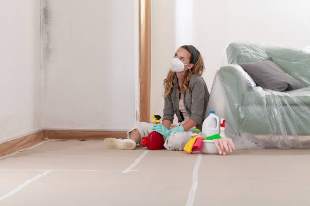 Reliable Mold Cleanup contractor in Cambridge, IL by WQB Mold Removal